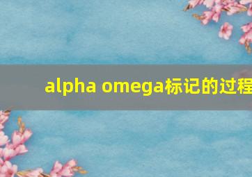 alpha omega标记的过程